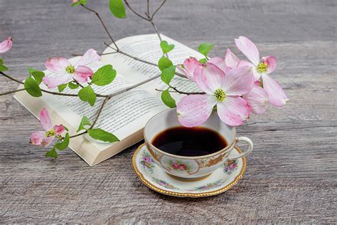 Morning Coffee And Flowers Photograph by Katia Kovan - Fine Art America