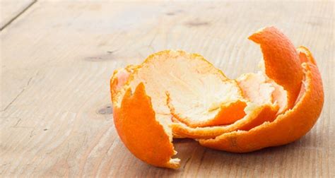 10 Brilliant Uses For Orange Peels – HEALTHY FOOD ADVICE