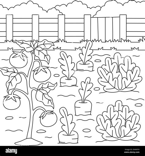 Vegetable Field Coloring Page for Kids Stock Vector Image & Art - Alamy