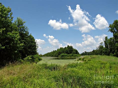 Barkhausen - Cache River Wetlands Center - Cache River State Natural Area - Illinois #12 ...