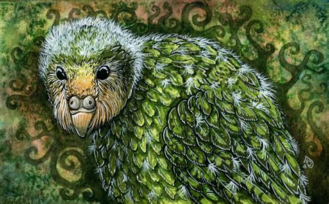 Baby kakapo by THE-RAttie on DeviantArt