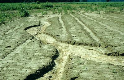 Gully Erosion of Field - Stock Image - C012/1046 - Science Photo Library