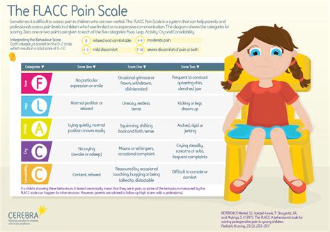 FLACC Pain Scale Infographic - Cerebra