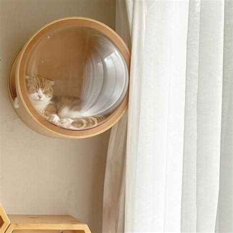 30 Modern Cat House Designs for Your Favorite Cats to Enjoy