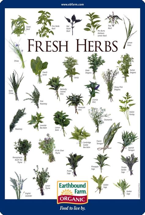 Fresh herbs are a great way to add intense flavor to a dish without ...