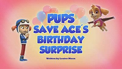 Watch Paw Patrol Season 10 Episode 15 - Pups Save Ace's Birthday ...