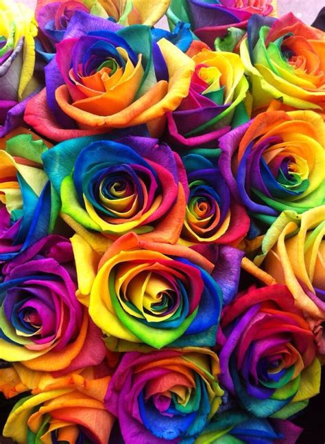 Rainbow roses at Creative Designs | Ilustrações florais, Rosas papel de ...