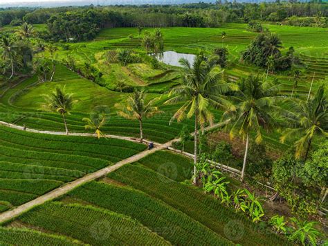 Aerial view of green rice terraces in Indonesia 21589026 Stock Photo at Vecteezy