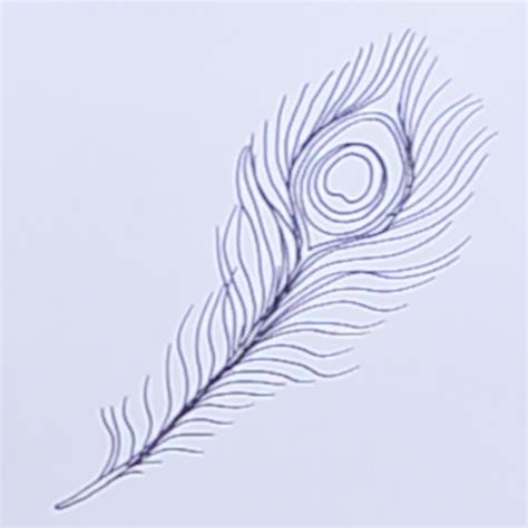 Details more than 78 peacock feather images drawing super hot - xkldase.edu.vn