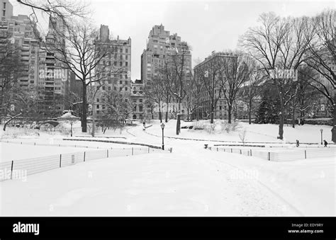 Central Park in the snow, Manhattan, New York City Stock Photo - Alamy