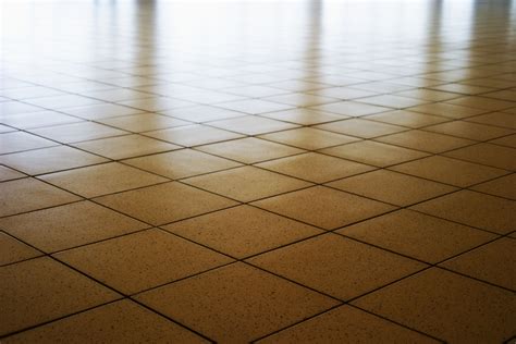 Natural Ways to Make Tile Floors Shine | Hunker | Shine tile, Tile floor, Tile floor cleaner