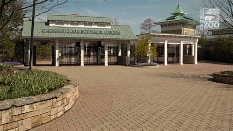 Cincinnati Zoo announces reopening plans