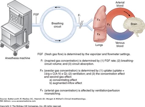 Inhalation Anesthetics | Anesthesia Key