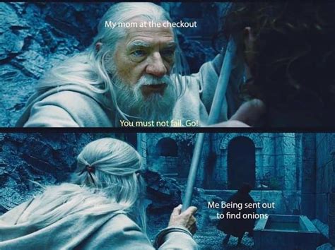 Lord Of The Rings: Image Gallery (List View) in 2020 | Memes, Joke of ...