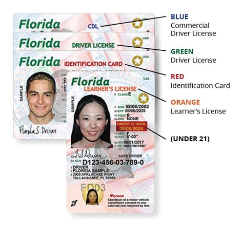 Drivers license check dmv florida - retrogue