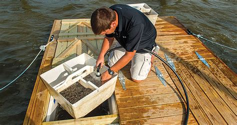 Seeding the future of oyster farming in the U.S. - Hatchery ...