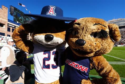 Arizona Wildcats Mascot History