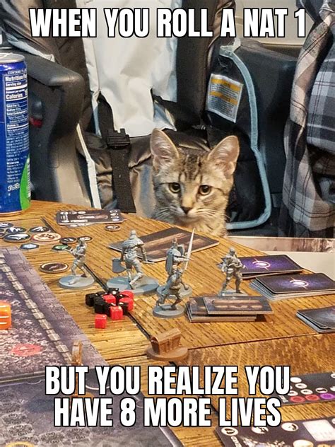 DnD Cat : r/dndmemes