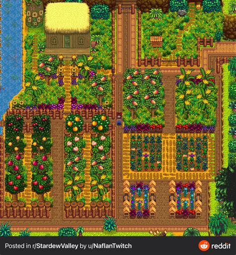 Ginger Island Farm Layout in Stardew Valley