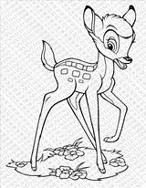 Bambi And Flower Coloring Pages sketch template
