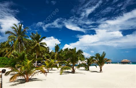 Beautiful Beach At Maldives Underwater Holiday Maldives Photo Background And Picture For Free ...