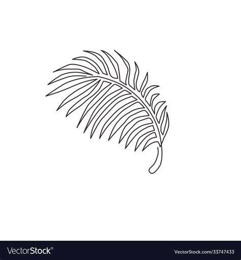 One single line drawing tropical coconut leaf Vector Image