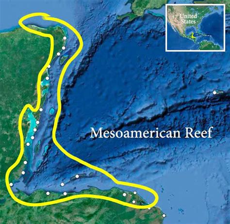 Latino Science: The Mesoamerican Reef Is Facing Extinction