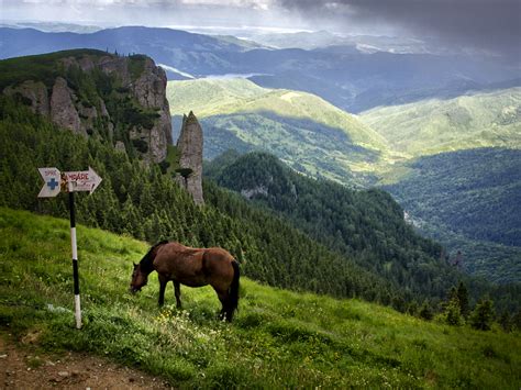 România e o țară frumoasă ( fotografii Romania ) ! | Dragoş Asaftei