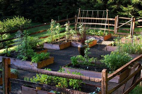 20+ Creative and Inspiring Raised Bed Vegetable Garden Ideas