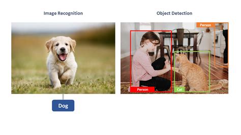 Guide to Object Detection & Its Applications in 2024