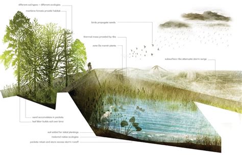 Studio Highlights 2012-2013 | Weitzman | Landscape architecture ...