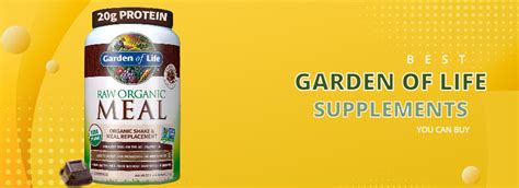 3 Best Garden of Life Supplements | BestInSupplements.com