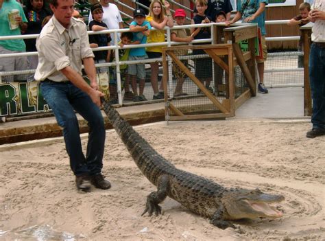 ZooZooReview: Gatorland Zoo