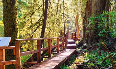 12 Top-Rated Hiking Trails in Tofino, BC | PlanetWare