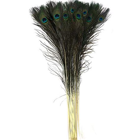 Real Peacock Feathers for sale in UK | View 58 bargains