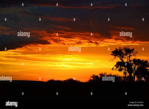 Sunset, Masai Mara Stock Photo - Alamy