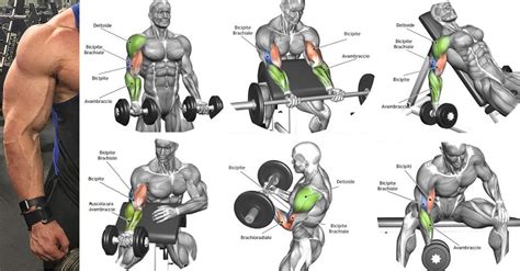 The Best Biceps Exercises For Mass