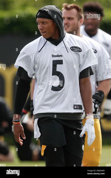 Pittsburgh Steelers quarterback Joshua Dobbs (5) during an NFL football ...