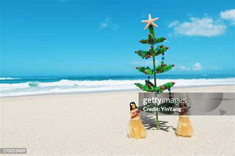 1,652 Hawaii Christmas Stock Photos, High-Res Pictures, and Images ...