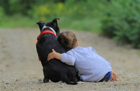 10 Reasons to Hug Your Dog | BeChewy