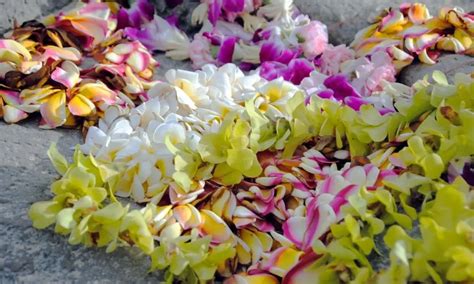 Most Popular Types of Hawaiian Leis and Their Differences