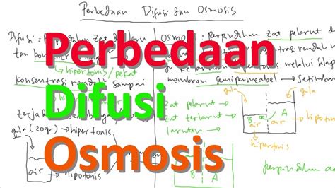 Perbedaan Difusi Dan Osmosis - Berbagi Informasi