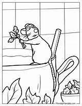 20 Ratatouille Coloring Pages Free PDF Printables sketch template