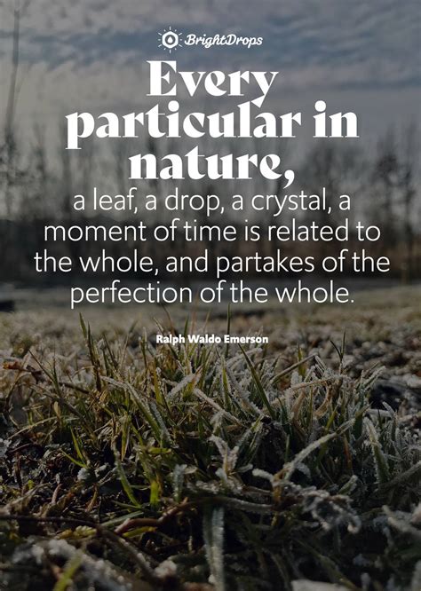 105 Inspirational Nature Quotes on Life and Its Natural Beauty