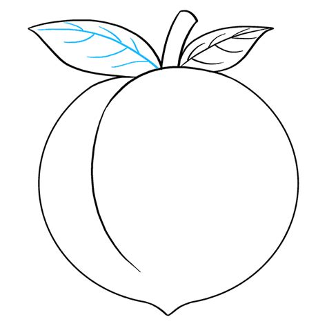 How to Draw a Peach - Really Easy Drawing Tutorial