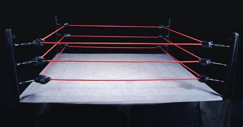 Wrestler Asahi Dies in 'Unexpected Accident'