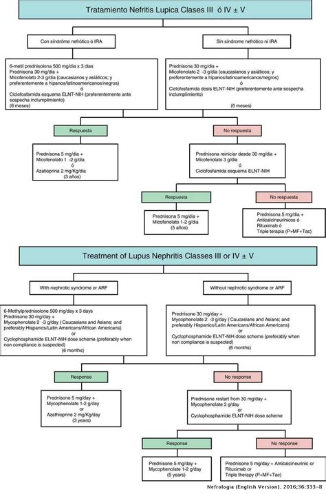 Hot topics in lupus nephropathy: Responses from a new 2015 Spanish guideline | Nefrología ...