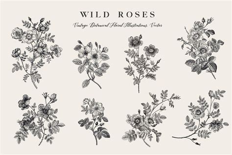 Wild Roses | Wild rose tattoo, Wild roses, Wild tattoo