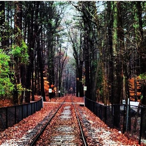 Stone Mountain Park train tracks (photo credit: @Marcy Rivas).