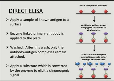 Direct Elisa Diagram